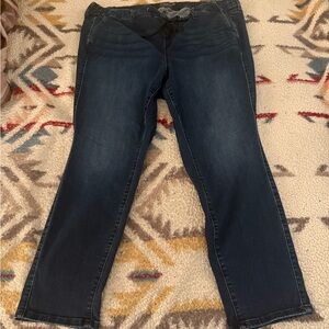 Torrid Dark Blue Straight Leg Jeans